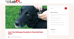 Desktop Screenshot of lovingyourlab.com